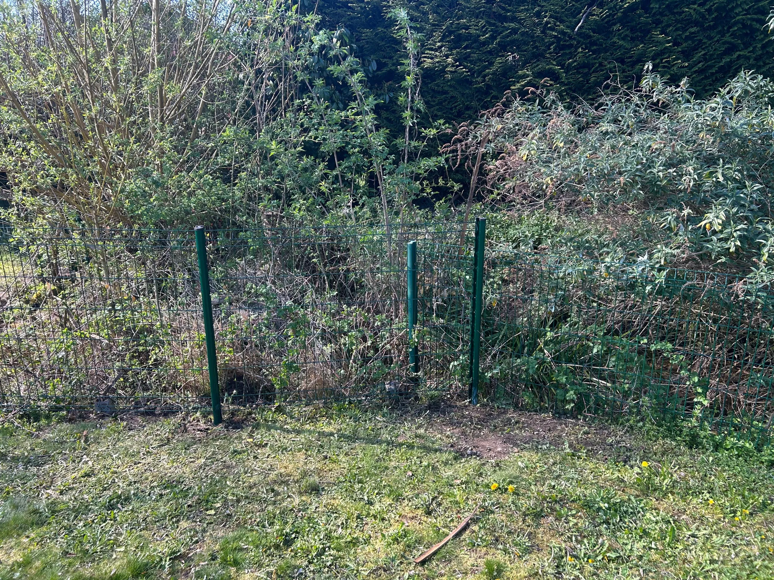 Clôture métallique grillagée devant une végétation dense, en bordure d’une pelouse