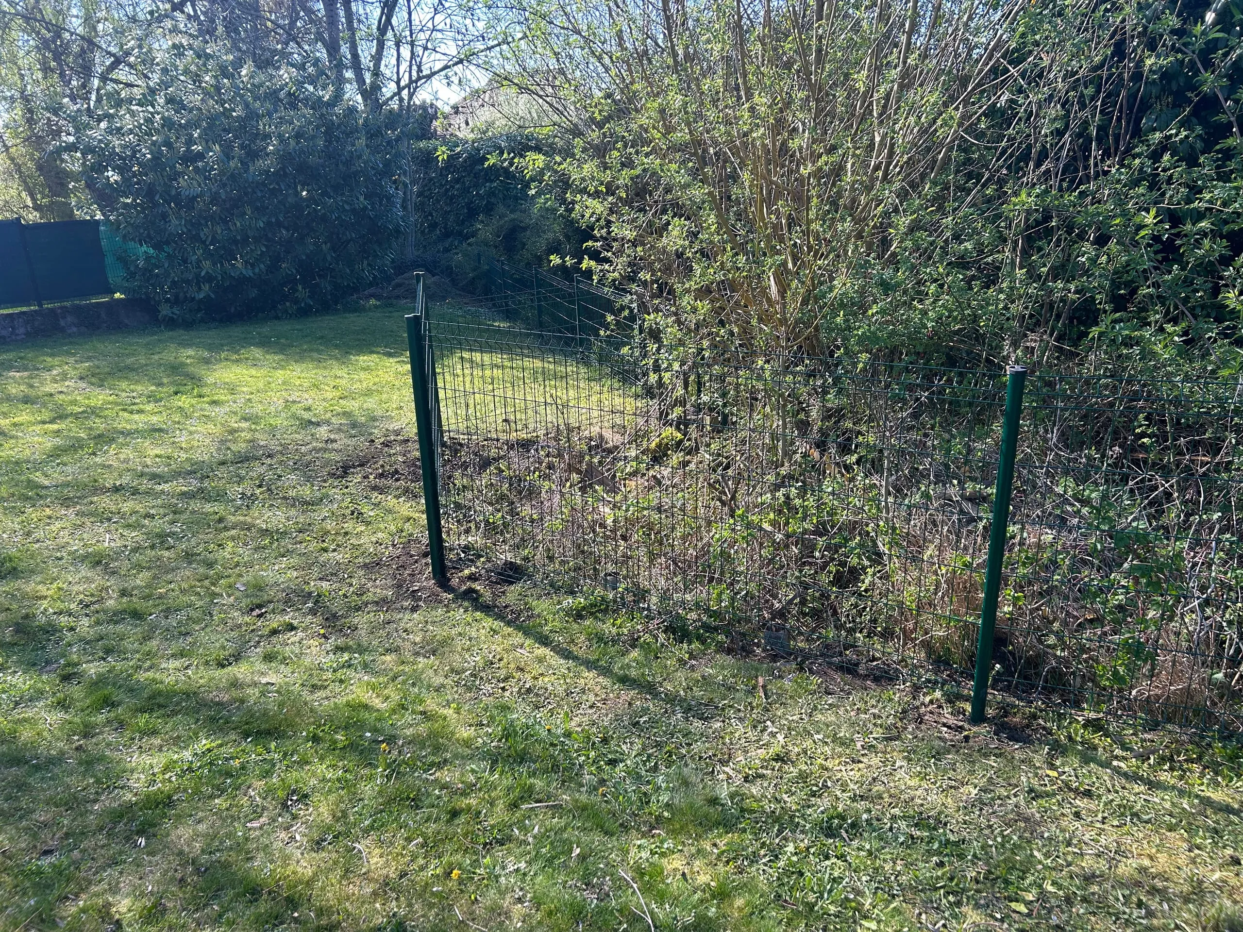 Clôture métallique grillagée verte le long d’un jardin arboré