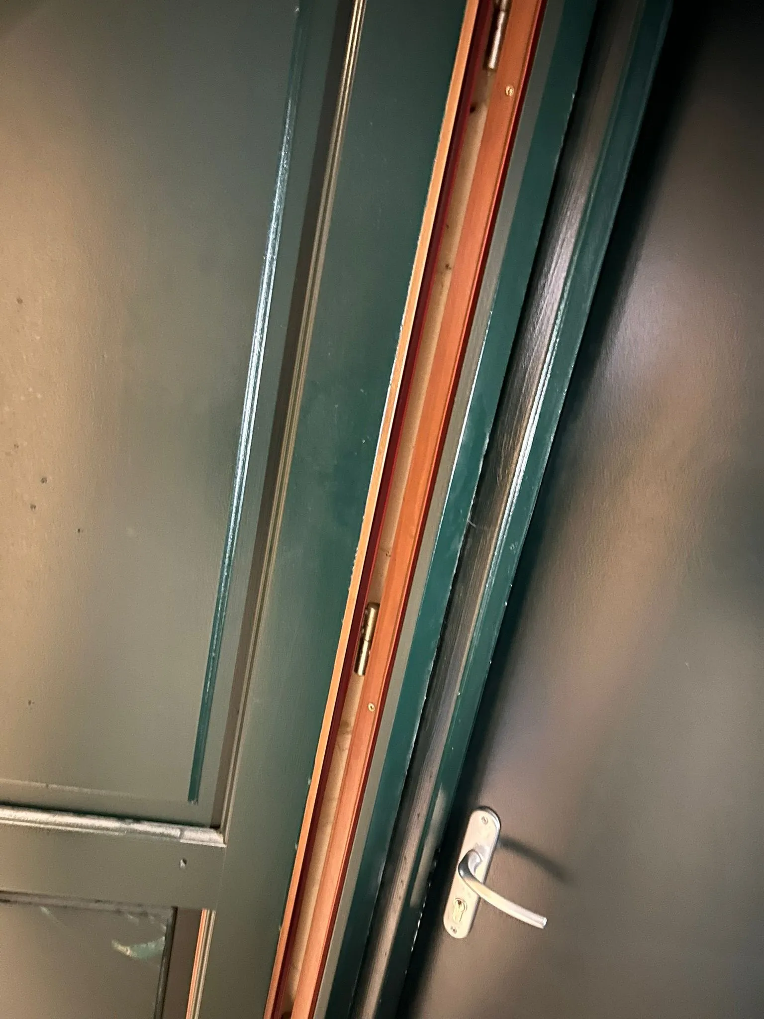 Porte en bois peinte en vert ouverte avec son cadre intérieur visible.