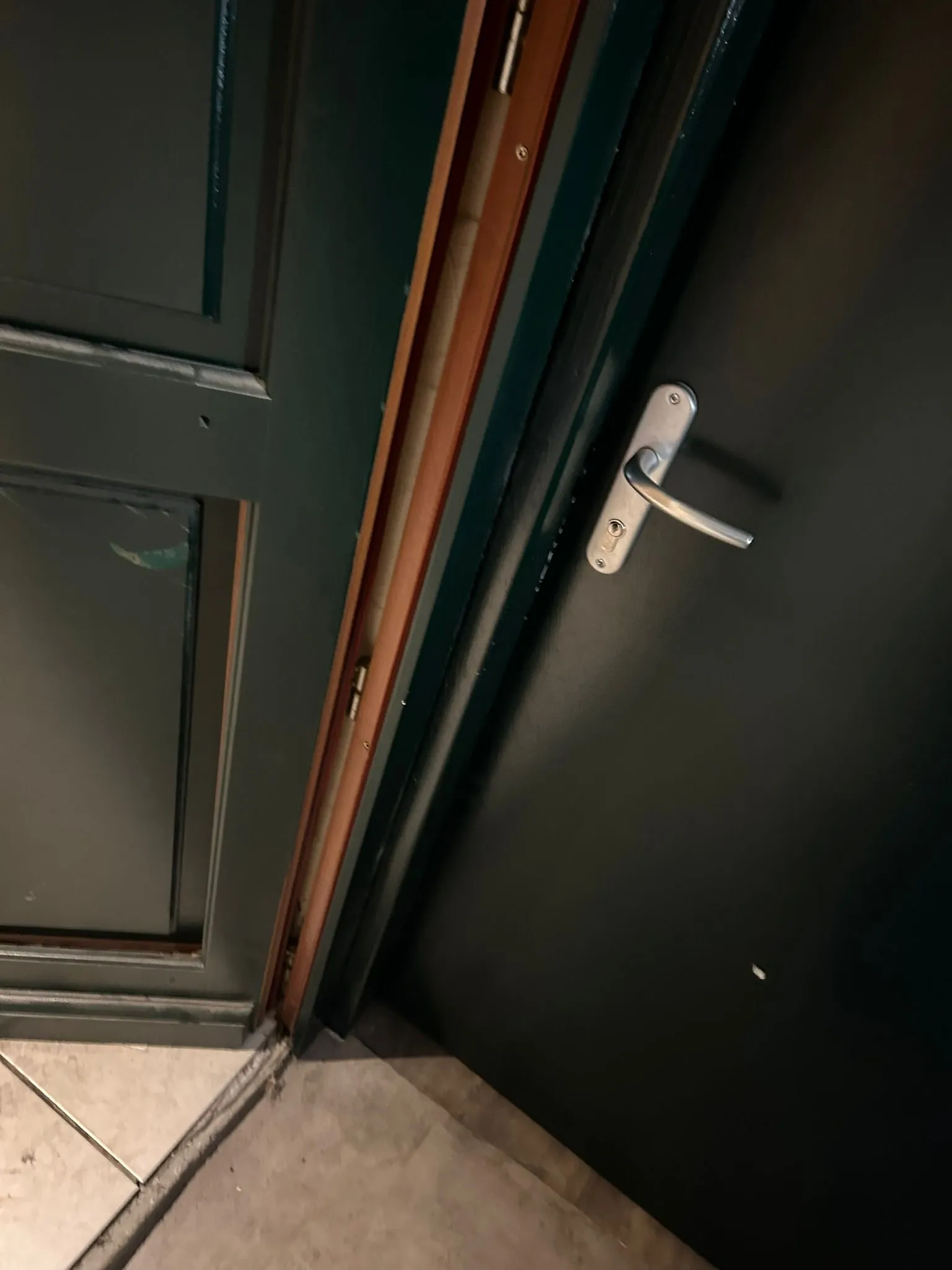 Porte en bois verte ouverte avec poignée métallique et encadrement brun.