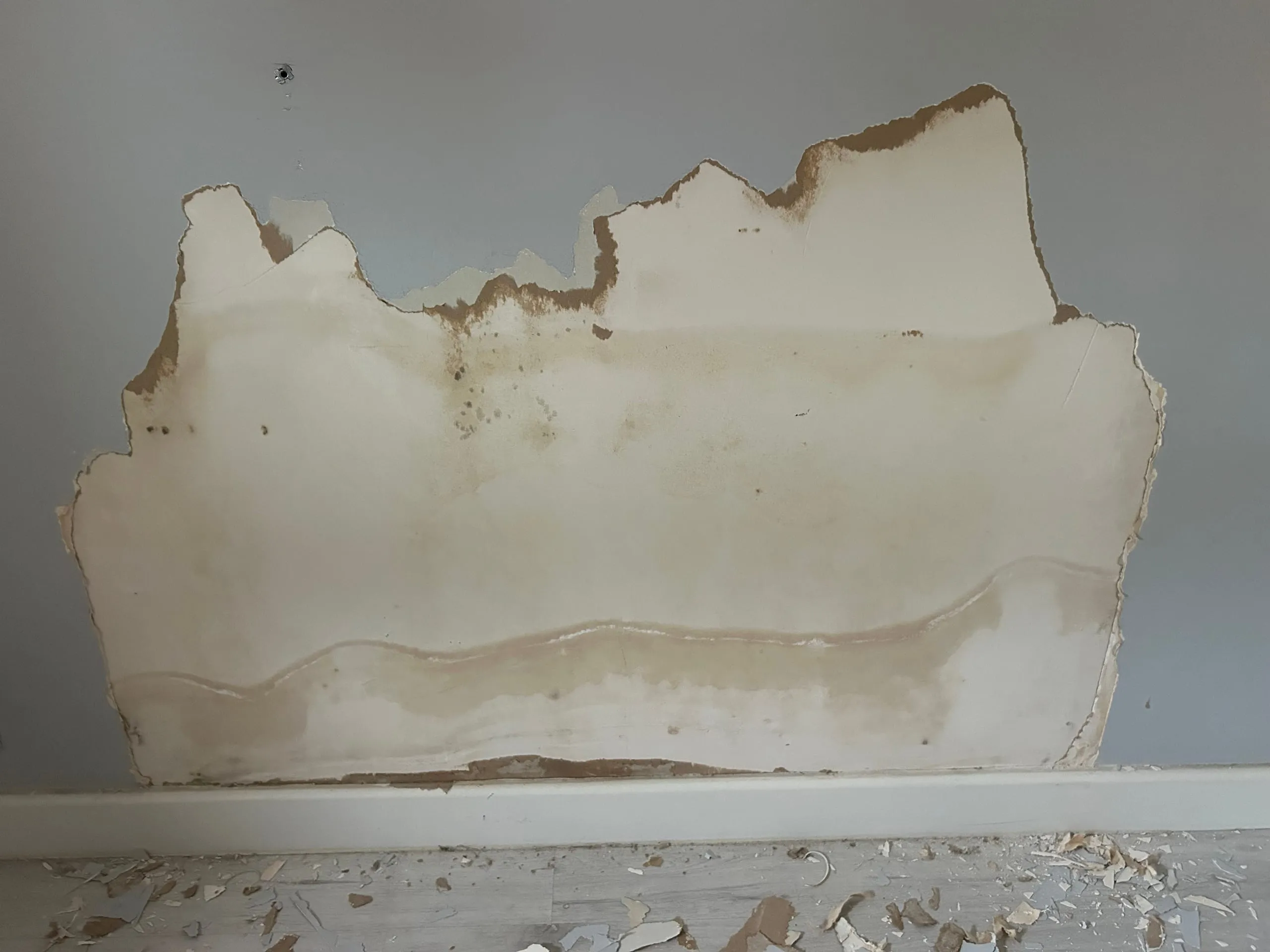 Mur intérieur avec peinture écaillée et enduit dégradé, avant reprise.